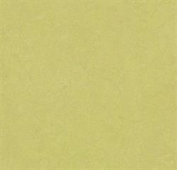 Forbo Marmoleum Fresco Linoleum 3885 Spring buds